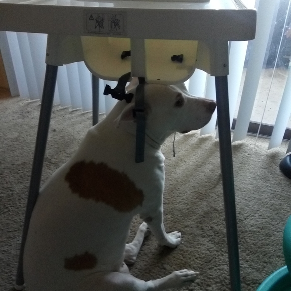 🖤Welcome to my closet🖤 - Picture 7 of 11